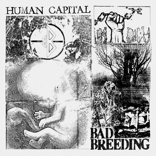 Human Capital