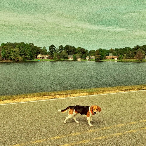 The Bay