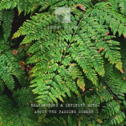 About the Passing Summer