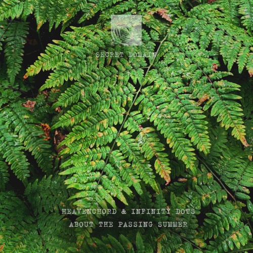 About the Passing Summer