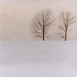 Snowless Winter EP
