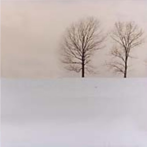 Snowless Winter EP