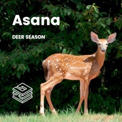 Deer Season
