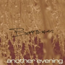 Another Evening