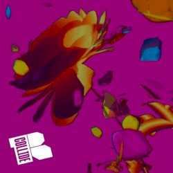 COLLIDE SESSION #15: Fuffifufzich