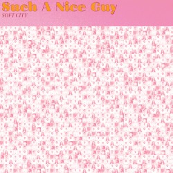 Such a Nice Guy