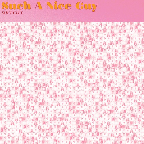 Such a Nice Guy
