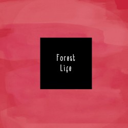Forest Life