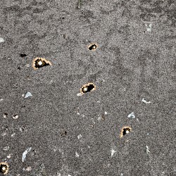 Bleeding out on the Beach