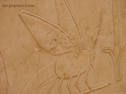 The Pharoah's Bee