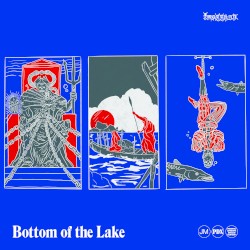 Bottom Of The Lake