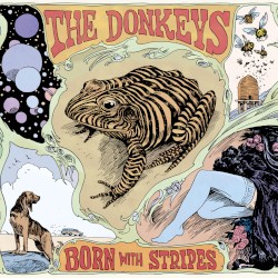 Born With Stripes