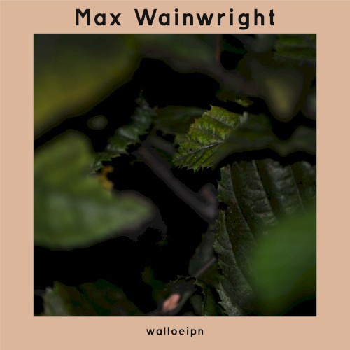 walloeipn