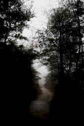 NIGHTMARE ep