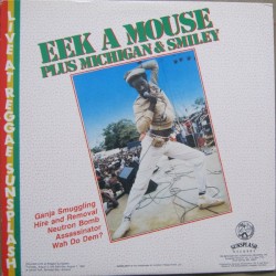 Live at Reggae Sunsplash