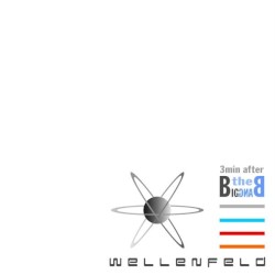 The Big Bang