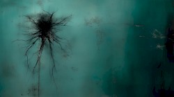 Apothic