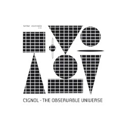 The Observable Universe