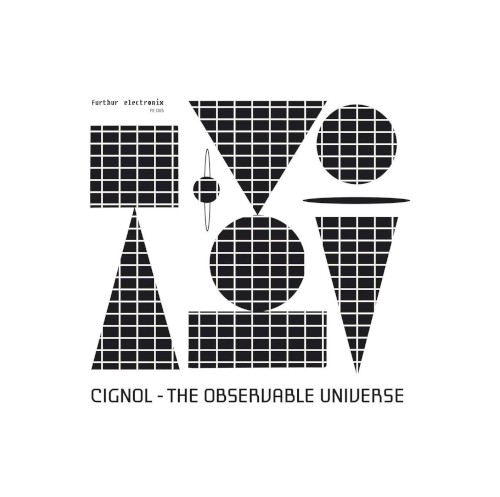 The Observable Universe