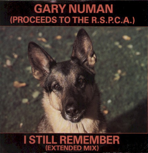 I Still Remember