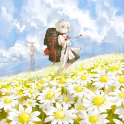 Chamomile