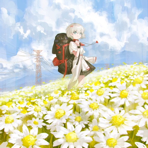 Chamomile