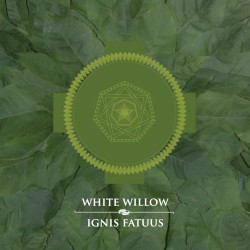 Ignis Fatuus