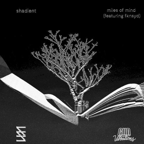 Miles Of Mind