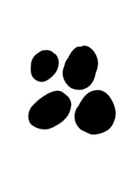 4 EP