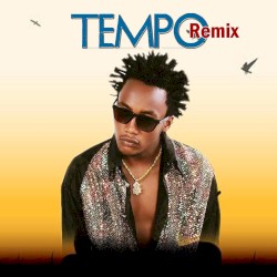Tempo (remix)