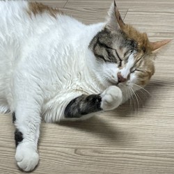 세상이 끝나는 날