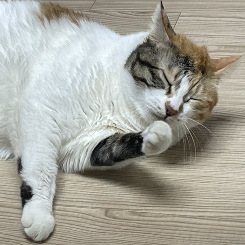 세상이 끝나는 날