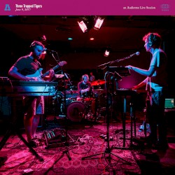 Three Trapped Tigers on Audiotree Live