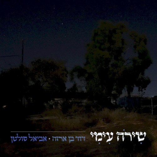 שירה עמי