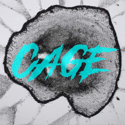 Cage (acoustic)