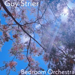 Bedroom Orchestra