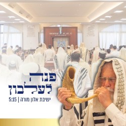 פנה לעלבון