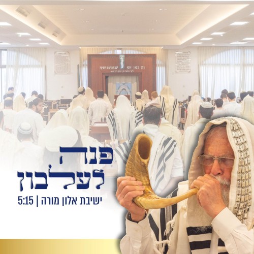 פנה לעלבון