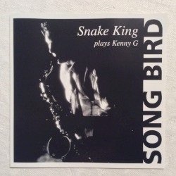 Song Bird: Snake King Plays Kenny G