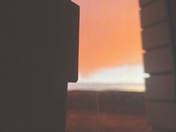 perfect days