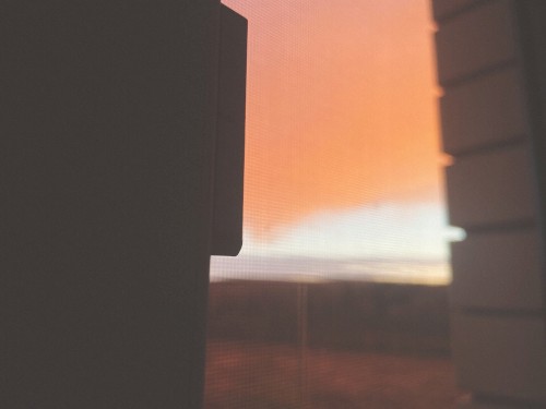 perfect days