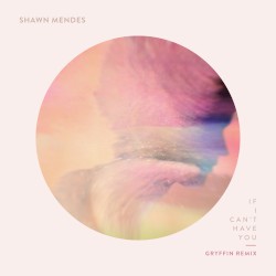 If I Can’t Have You (Gryffin remix)