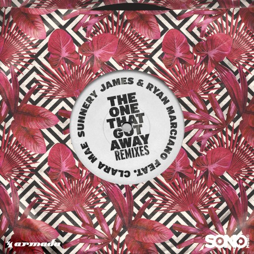The One That Got Away (remixes)