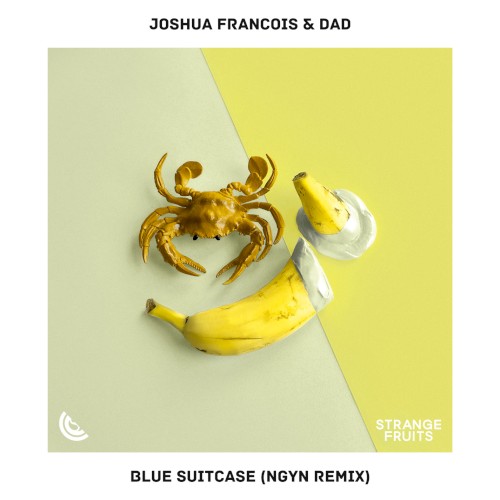 Blue Suitcase (Ngyn remix)