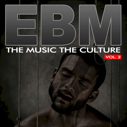The Music The Culture: EBM Vol 2
