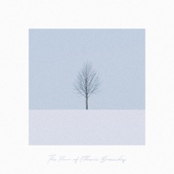 The Flow of Etheric Branches