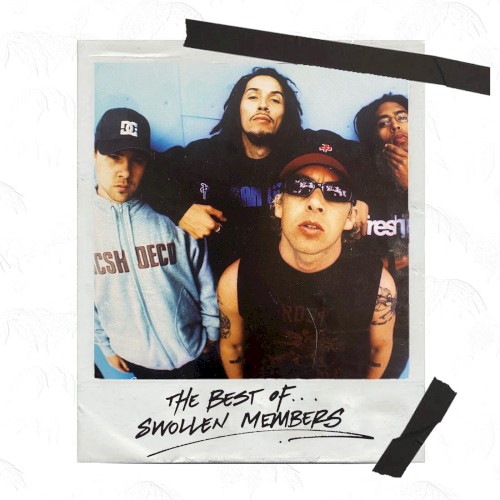 The Best of Swollen Members