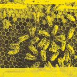 Hive
