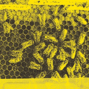 Hive