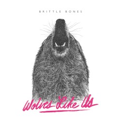 Brittle Bones